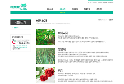 스킨 상세 이미지