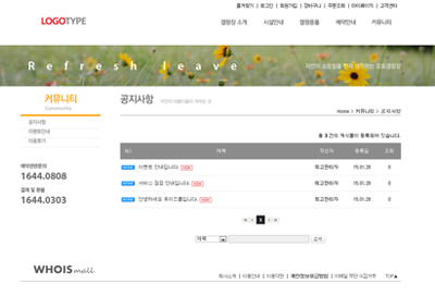 스킨 상세 이미지