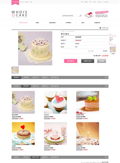 스킨 상세 이미지